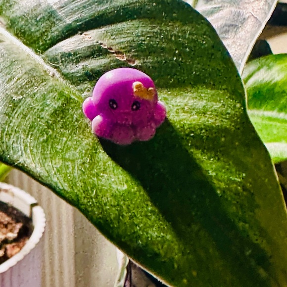 🍃10 pack PLANT MAGNETS!🍃 - Picture 8 of 14